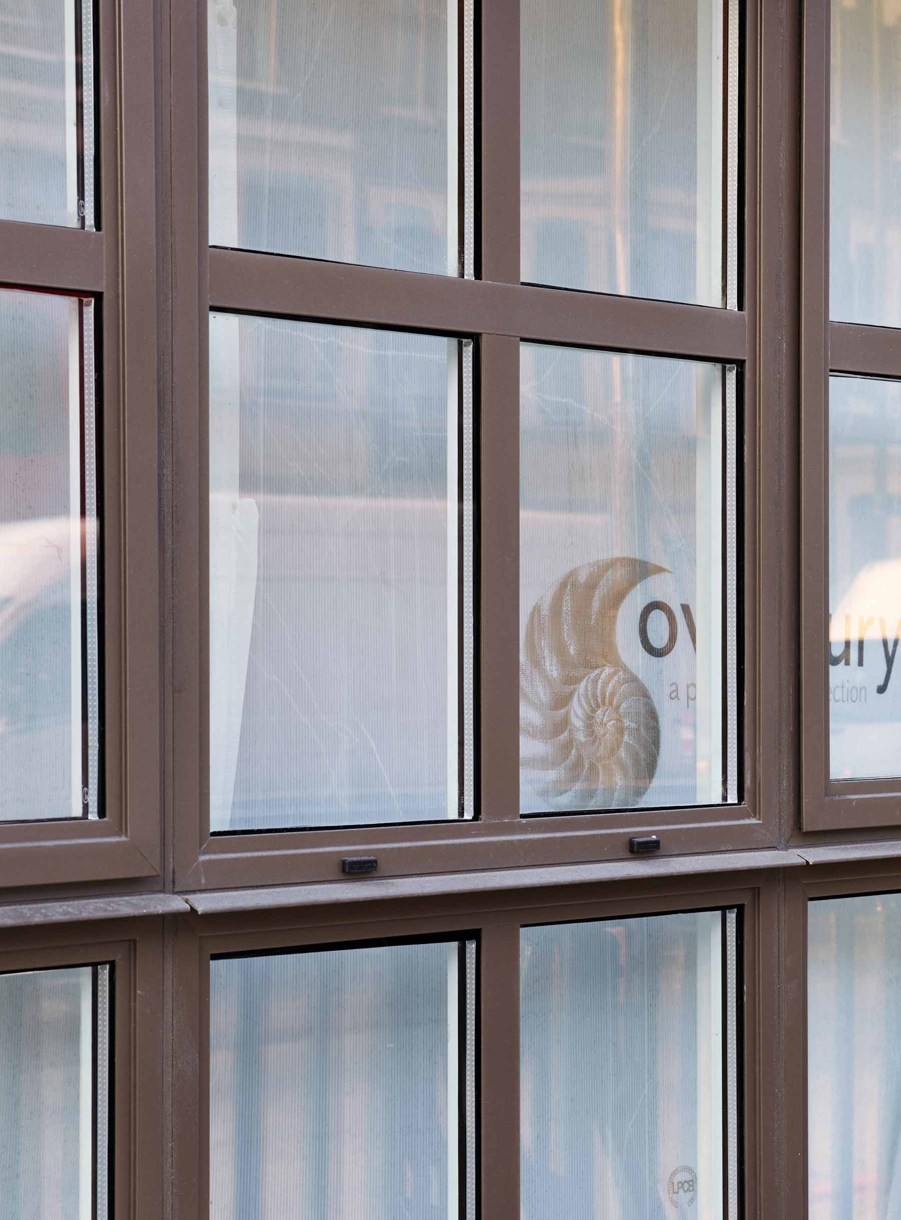 Brown Coated Window